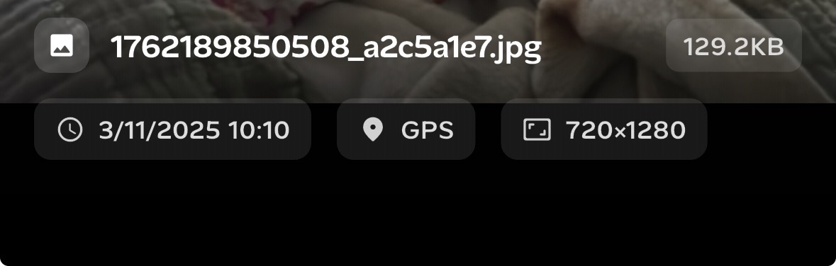 Why move-in documentation matters